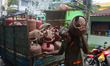 An Indian LPG gas cylinder delivery man unloads LPG gas cylinders from a vehicle while sup...