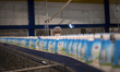 An Iranian male laborer works on the dairy production line at the Mihan Food Industries fa...
