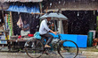 A man rides a bicycle during monsoon rain in Feni, Bangladesh, on October 2, 2025. As clim...