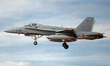 A McDonnell Douglas EF-18M Hornet aircraft of the Spanish Air Force lands at Los Llanos Ai...