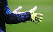 A pair of Adidas Performance PRED GL PRO gloves is seen during the Serie A match between F...