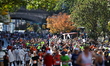 Runners head up First Avenue during the 2025 New York City Marathon in New York, N.Y., on...