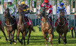 The starting blocks unfold and release the horses at the start of Race 4 - 13:55 REDCAR 1m...