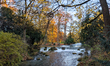 A small waterfall and rapids are visible in a stream that flows through the Englischer Gar...