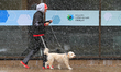 A person walks his dog during the first snowfall of the season in Brampton, Canada, on Nov...