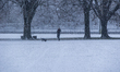A person walks with a dog in Faelledparken following a snowfall in Copenhagen, Denmark, on...