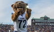 Will D. Cat, the Villanova Wildcats mascot, is present during an NCAA Football Championshi...