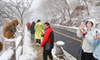 Macaques interact with tourists in Huaguo Mountain Scenic Area in Lianyungang City, Jiangs...