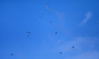 Paratroopers descend with the national flag during a special para jump as part of Victory...