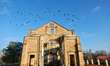 Pigeons fly above the ruins of the Lutheran church built by German colonists in Dolynivka...
