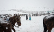 Ponies stand tethered during heavy snowfall in Sonamarg, a tourist destination in Ganderba...