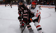 Matt Desiderio of the Brown Bears and Jaxson Ezman of the Princeton Tigers pursue the puck...