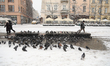 Pigeons warm themselves by heaters in the Main Market Square during heavy snowfall in Krak...