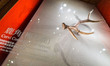 A deer antler is on display in a room inside the Government Chinese Medicines Testing Inst...
