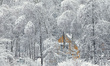 Snow-covered trees partially obscure a house in Kyiv region, Ukraine, on January 15, 2026 