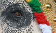 A caparisoned elephant takes part in the annual eight-day long temple festival at Ernakula...