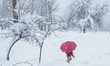 A man walks through a snow-covered area as trees bend under the weight of fresh snow durin...