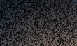 Thousands of Rosy Starlings sweep across the dusk sky over Old Ahmedabad, India, on Januar...