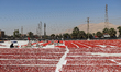 A view of a tomato drying field is in Luxor, Egypt, on February 2, 2026. Luxor produces ar...