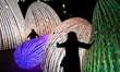 People visit a light installation on the first day of the Llum BCN festival in Barcelona,...
