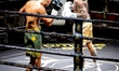 Nieky Holzken faces Besir Ay during the World Cup boxing match at the Veka Sporthal for th...