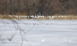 Prospect Park Lake freezes on Sunday, January 8, 2026, in Brooklyn, NY. Extreme cold with...