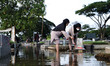 People visit graves ahead of the month of Ramadan at a flooded cemetery in Jakarta, Indone...