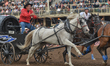 Jim Knight from St. Walburg, SK, during the GMC Rangeland Derby's nine chuckwagon races, a...