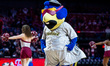Boomer, the Trenton Thunder mascot, performs during an NCAA men's basketball game at The L...