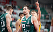Andrzej Pluta plays during the basketball game between Energa Trefl Sopot and Legia Warsza...