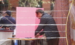 Nepalese citizens cast their ballots at a polling station during nationwide elections in K...