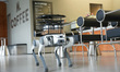A robot dog delivers coffee at a robot-themed coffee shop in Moganshan High Tech Zone, Huz...