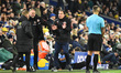 Regis Le Bris, Sunderland manager, appeals to the fourth official during the Premier Leagu...