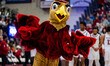 The Hawk, the St. Joseph's Hawks mascot, performs during an NCAA men's basketball game at...