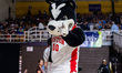 Rhett the Terrier, the Boston University Terriers mascot, is present before the 2026 Patri...