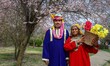 An Indian tourist couple poses for a picture in Kashmiri traditional dress near the bloomi...
