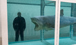 British visual artist Damien Hirst poses in front of his artwork, 'The Physical Impossibil...