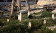 Palestinians pray at a cemetery on the grave of a relative during the first day of Eid al-...
