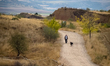 An elderly man walks with a cane and a dog on a gravel track near the Barrancas de Burujon...