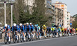 ALPECIN-PREMIER TECH Team during Milano-Sanremo 2026 in Pavia, Italy, on March 21, 2026. 