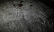 Bits of blood and a chalk mark is seen where the corpse of a suspected drug pusher was fou...