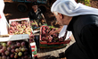 Workers uploading grape boxes into the truck for marketing it in Nablus city. West bank ci...