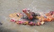 Immersion of  idol  of Hindu goddess Durga on the banks of the river  Ganges in Kolkata, I...
