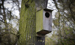 A bird house is seen on a tree in the river park in Bydgoszcz, Poland on 22 April, 2017. 