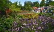 A view of The Ría Organics Garden - Nature’s Resurgence by John Durston, at Bloom Festival...