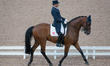 Austrian rider Christian Schumach on Auheim's Picardo rides in the team dressage competiti...