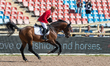 German rider Marcus Ehning on Pret A Tout rides the lap of honor at Ullevi Stadium in Goth...