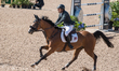 Swedish rider Peder Fredricson on H&M All In rides in the qualifying competition of the 20...