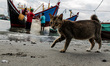 Local fishermen were seen active in the Traditional Fishing Place in Lhokseumawe, Aceh pro...