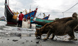 Local fishermen were seen active in the Traditional Fishing Place in Lhokseumawe, Aceh pro...